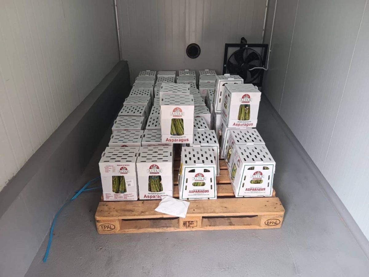 รับรมยาพืชส่งออก